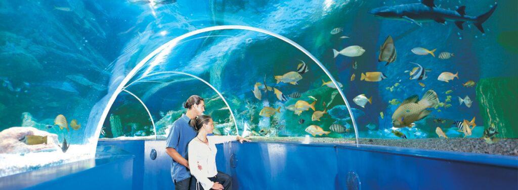 Blue Reef Aquarium