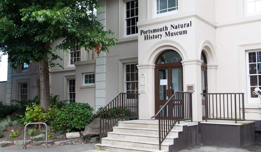 Portsmouth Natural History Museum